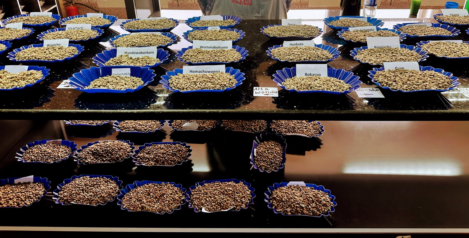 Green and roasted coffee samples arranged for tasting.
